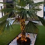 La Palmera Del Sotillo * La Lastrilla