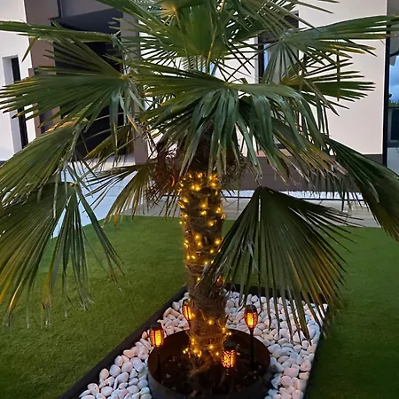 La Palmera Del Sotillo * La Lastrilla