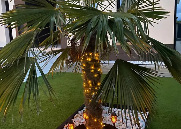 La Palmera Del Sotillo * 라 라스트리야