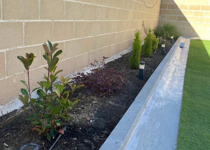 La Palmera Del Sotillo * 라 라스트리야